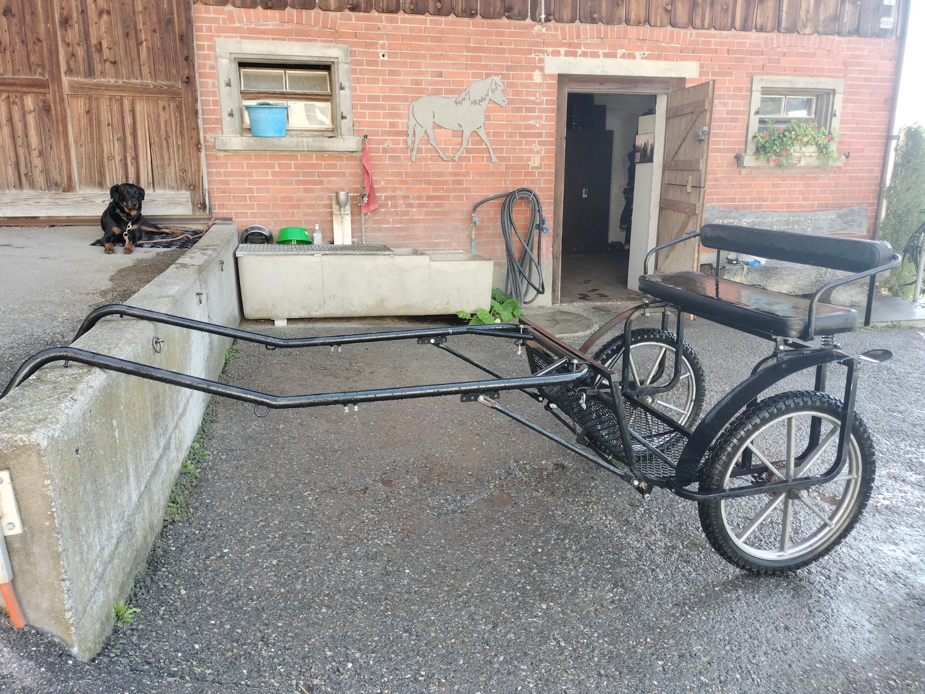 Carrozze: Sulky Kutsche – Usato da Pfungen venduto da Savaklunki 3
