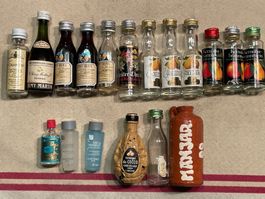 Lot de 18 mini-bouteilles pour collectionneurs