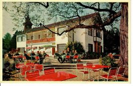 Hotel Waldhaus Horw LU