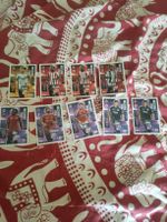 Fussballkarten Panini Champions League 