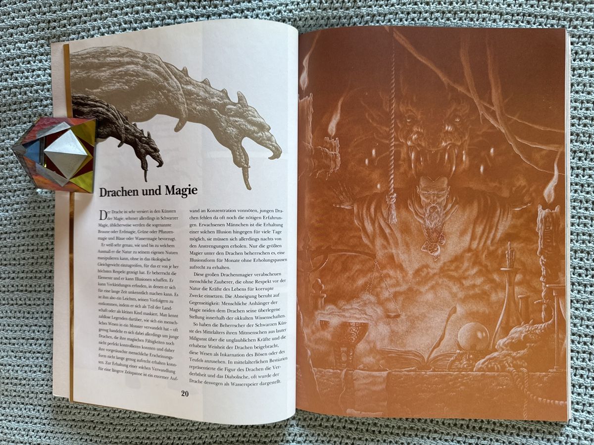 Libri: Das Buch der Drachen, Ciruelo – Usato da Eschenz venduto da Belladog 5