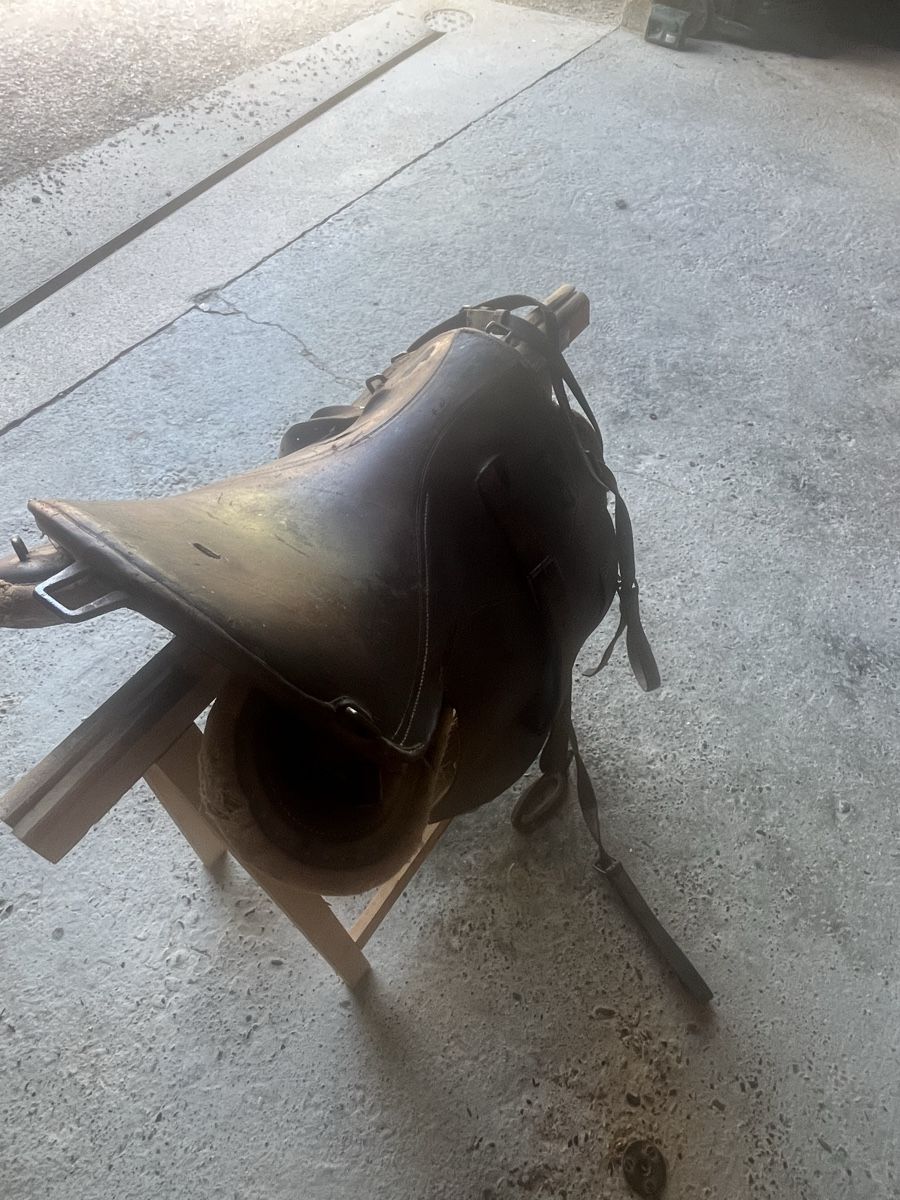 Selle & Accessori: Alter Armee Militärsattel sattel – Usato da Oberwil i. S. venduto da sam95s 1