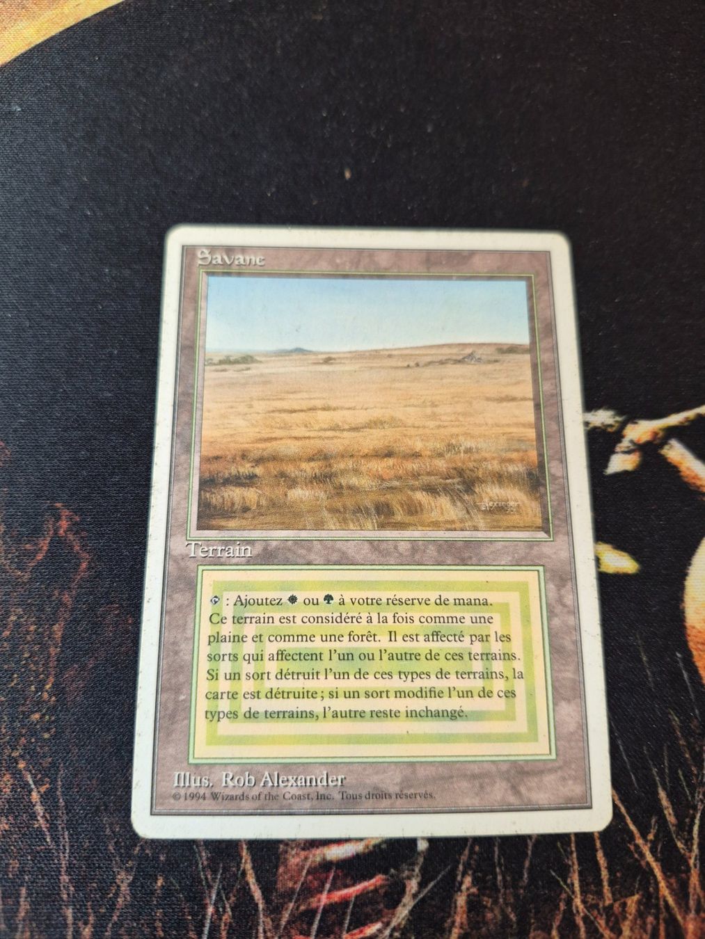 Magic The Gathering Carte collezionabili: Savannah – Usato da Gampelen venduto da sebest95