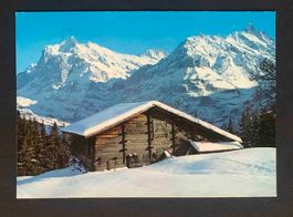 AK Bei Grindelwald Wetterhorn und Schreckhorn