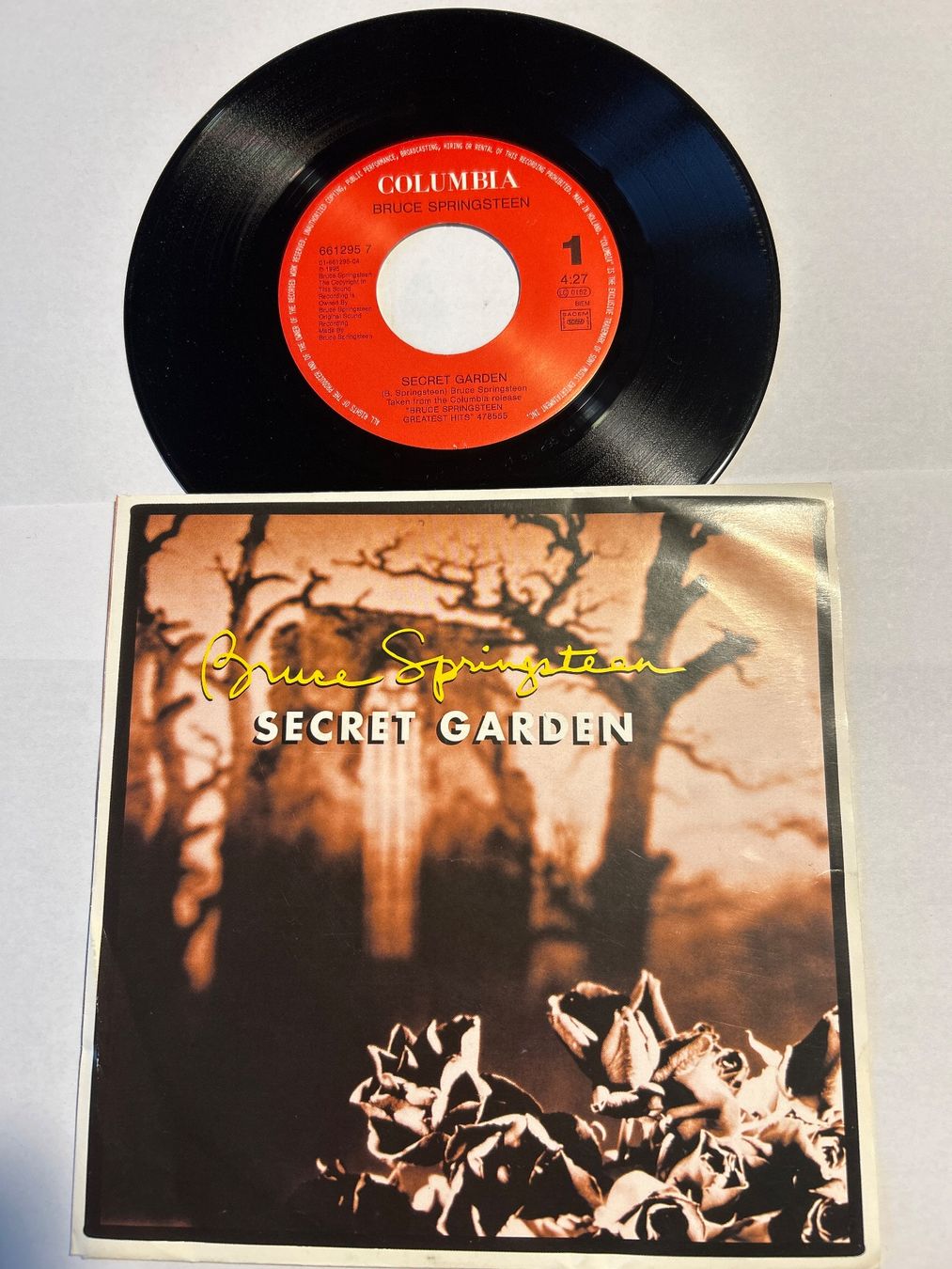 Dischi in vinile: Bruce Springsteen. 1995. Secret Garden – Usato da Faulensee venduto da Mizuno06