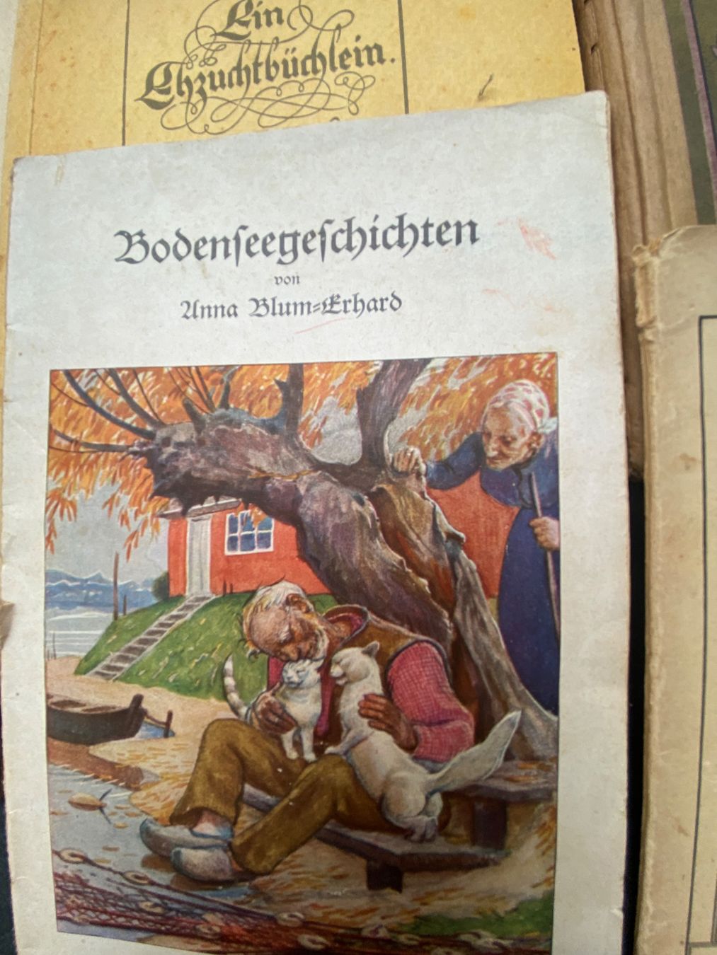 Libri: Lot antike Bücher – Usato da Rüti ZH venduto da Diana7770 1