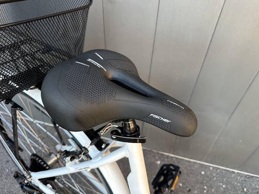 Biciclette: Bicicletta da donna Saxonette 28 bianca  – Usato da Quartino venduto da DiloUsato 5