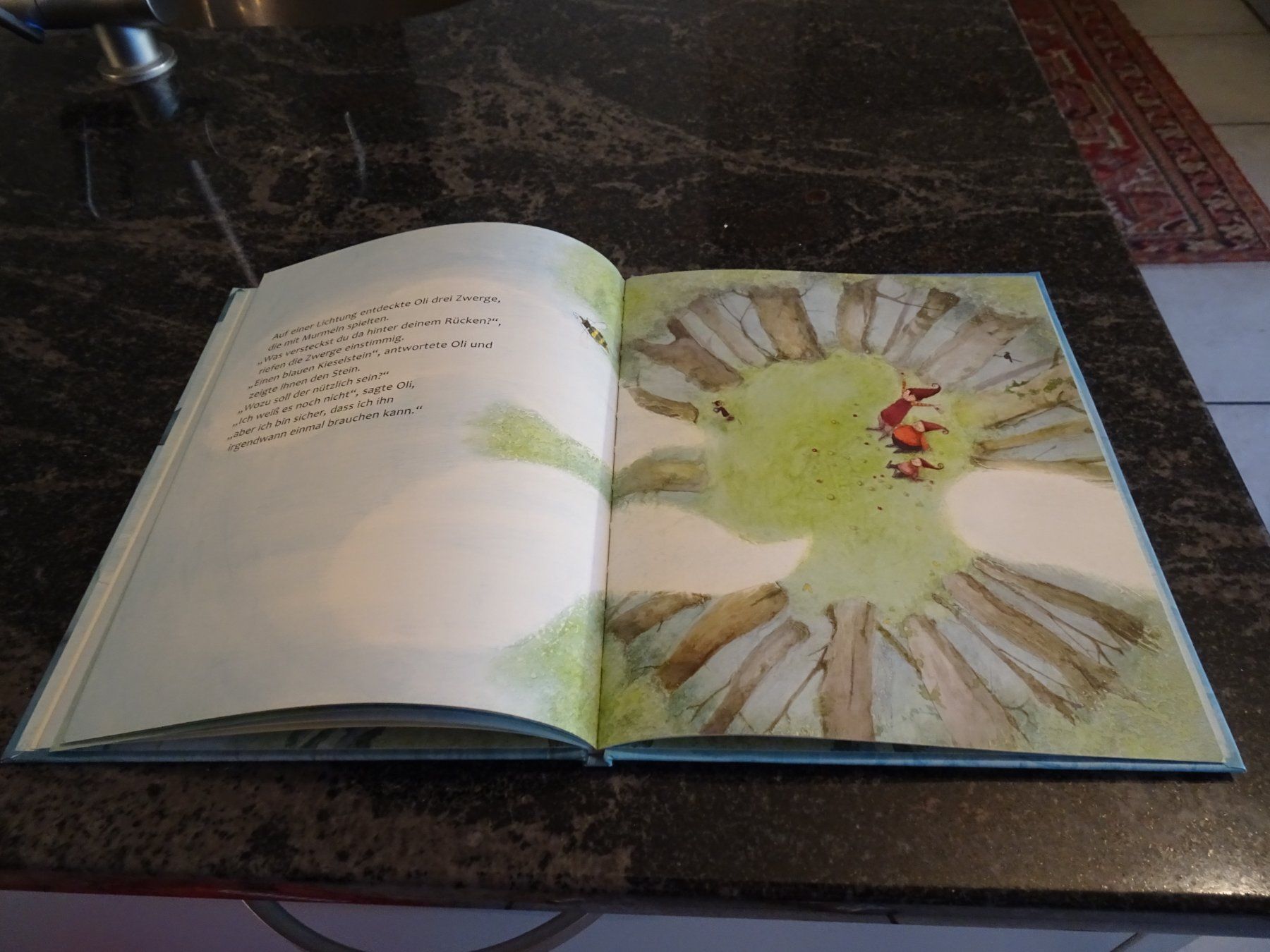 Bücher: Bilderbuch Der Blaue Stein Schöne Bilder / – Gebraucht aus Zürich von Roulet 5