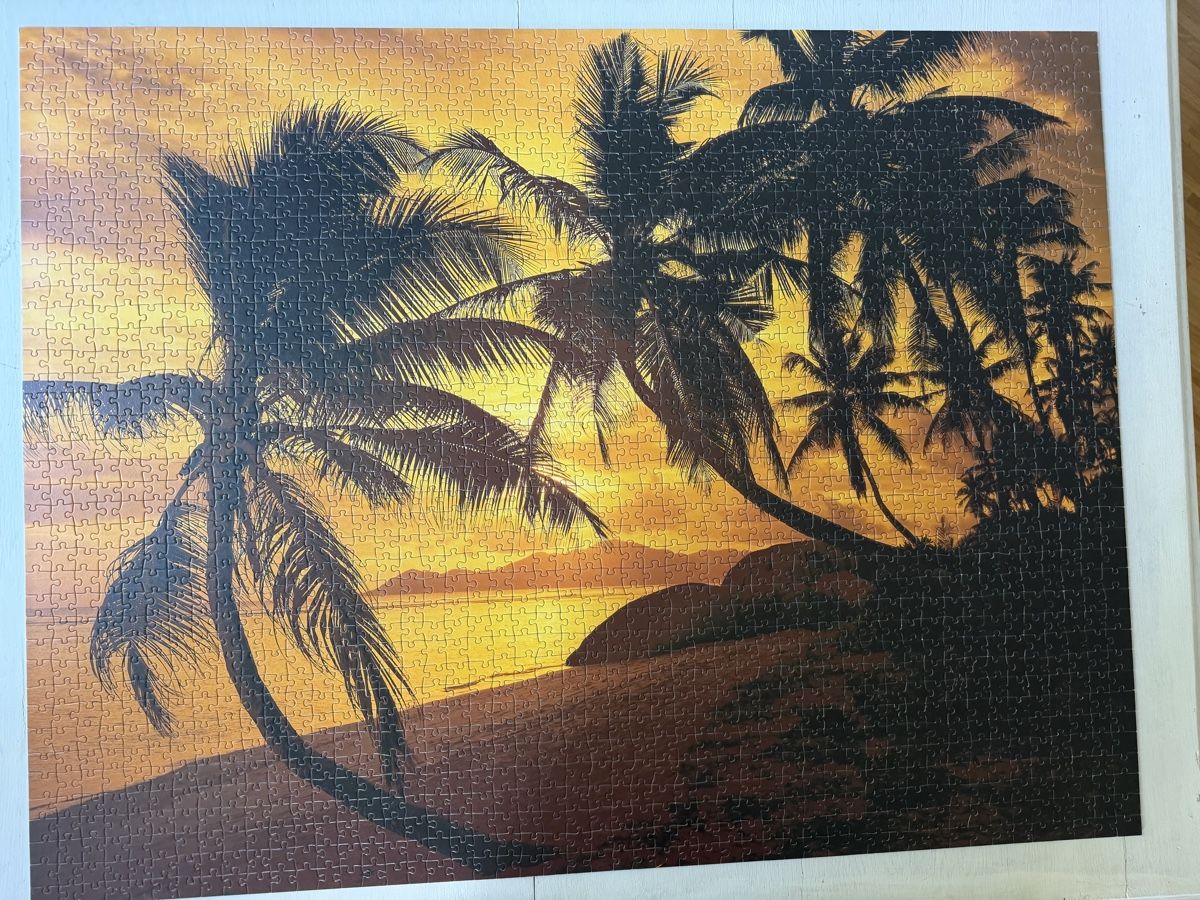 Puzzles: Puzzle Palmenstrand Sonnenuntergang – Gebraucht aus Männedorf von Dsonne