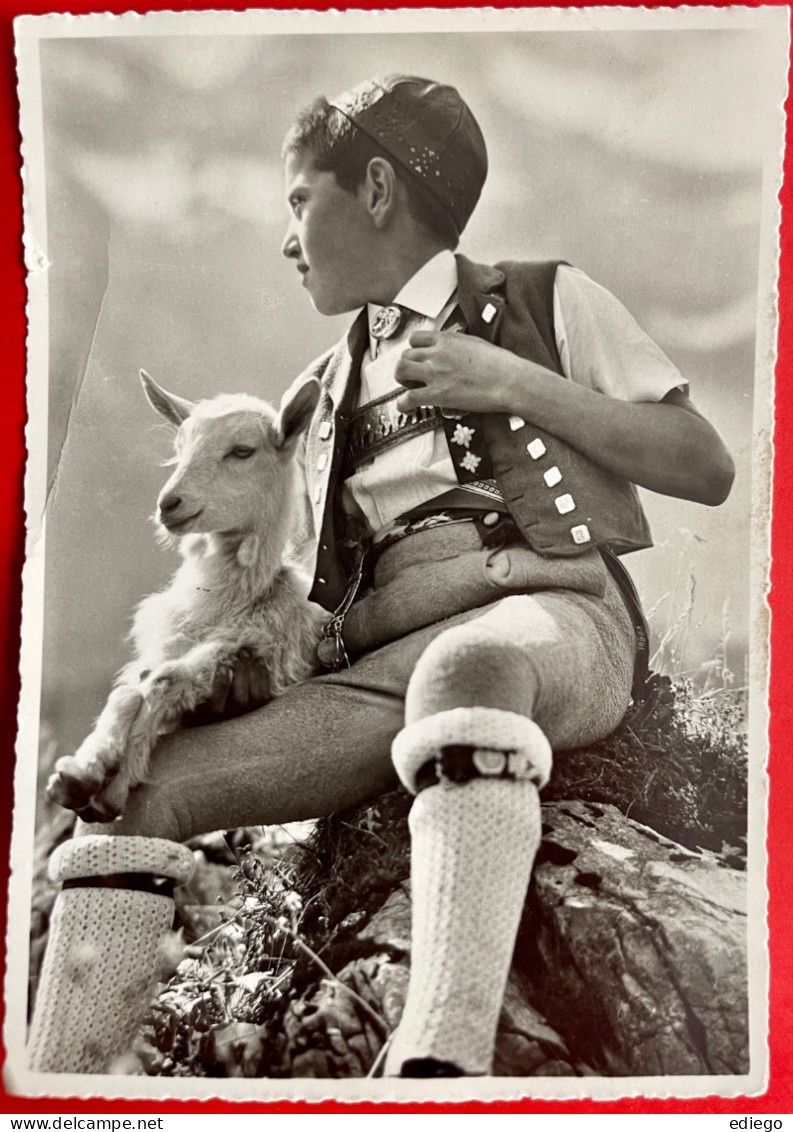 Ansichtskarten: SENNEBUEB MIT GITZI 1950 - ST GALLEN – Gebraucht aus Lutry von Ediego
