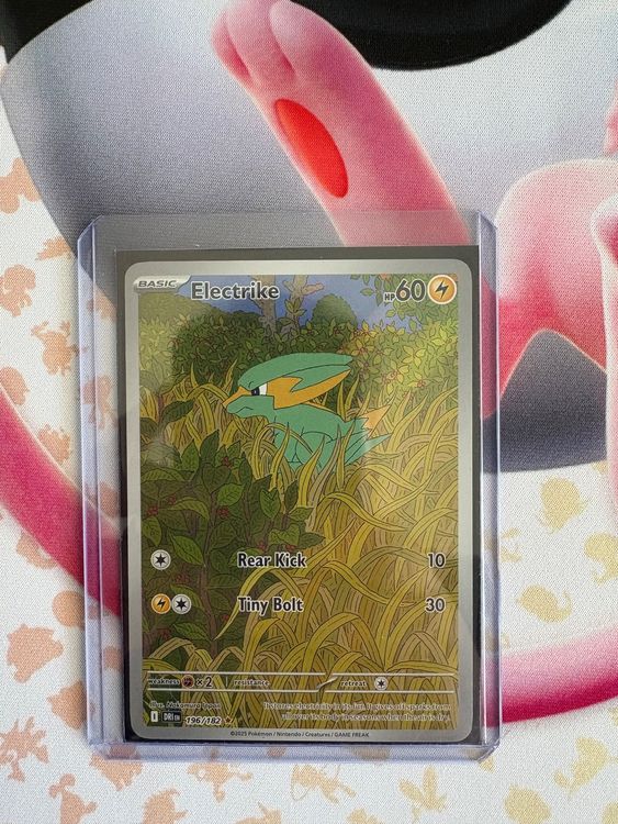 Electrike Full art - Destined Rivals Pokemon (Neu (gemäss Beschreibung ...