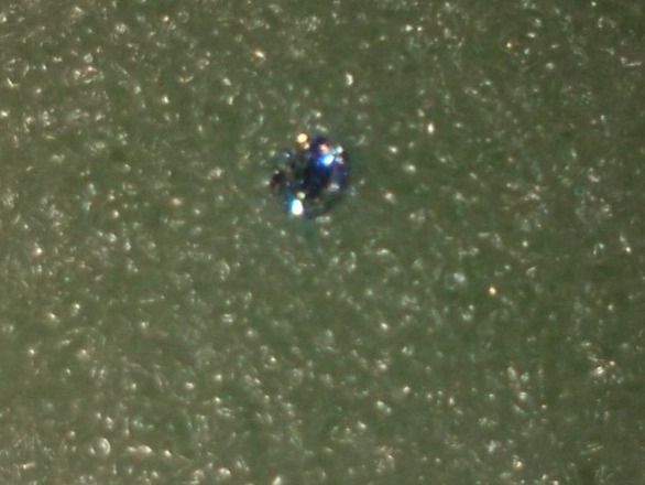 Pietre preziose: ECHT DIAMANT 1CARAT,,,RUND FORM,,,GLANZIG – Nuovo (secondo la descrizione) da Basel venduto da bijoutrie_4 2