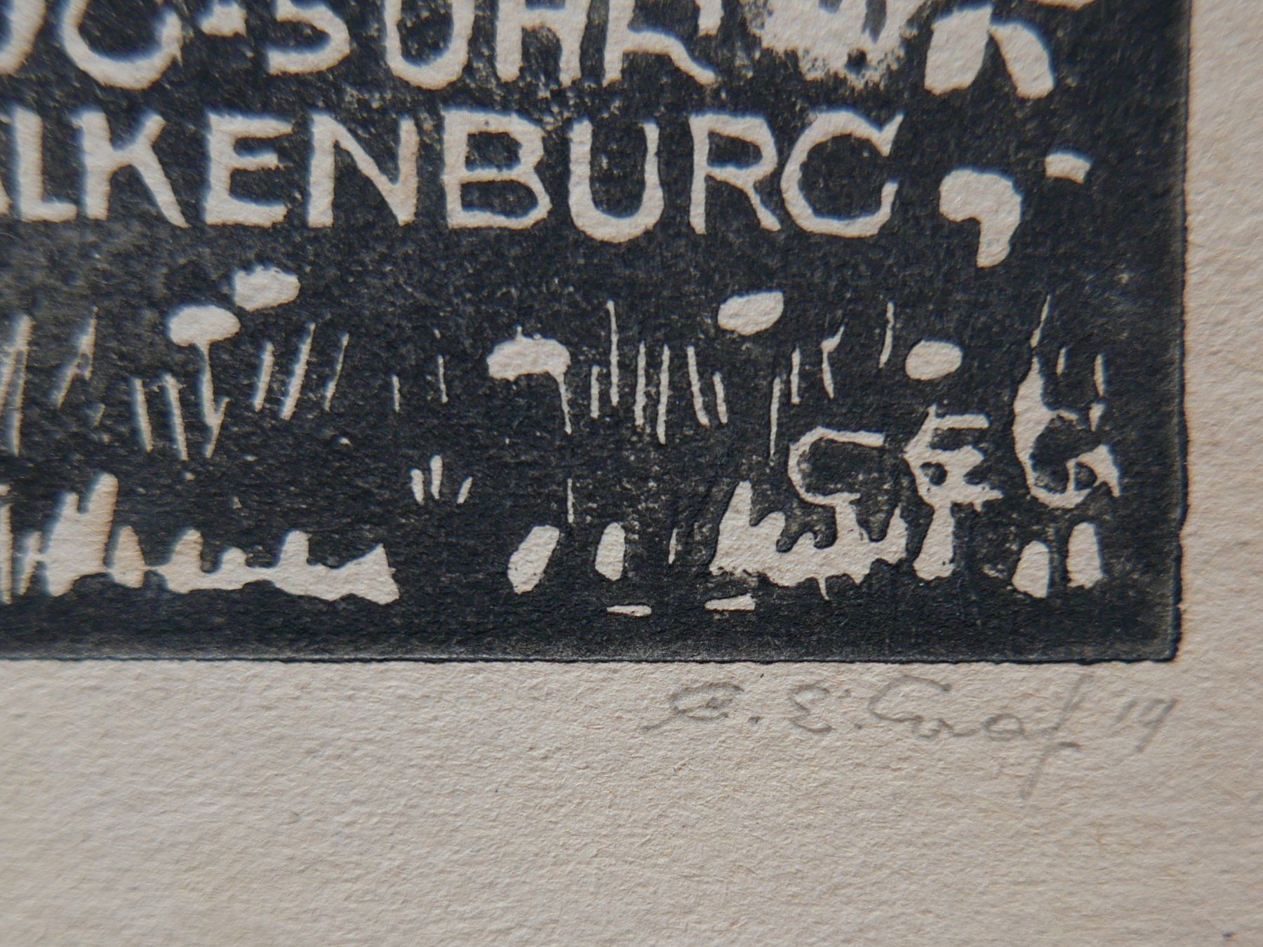 Libri: HOLZSCHNITT C. E. GRAF 1919 GSMBA ST. GALLEN – Usato da Balgach venduto da Zwischenraum 1