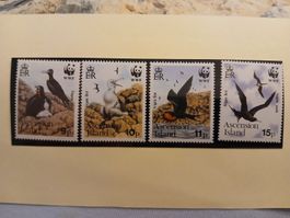 Timbres Île de l'Ascension, oiseaux frégates, WWF. Rare!