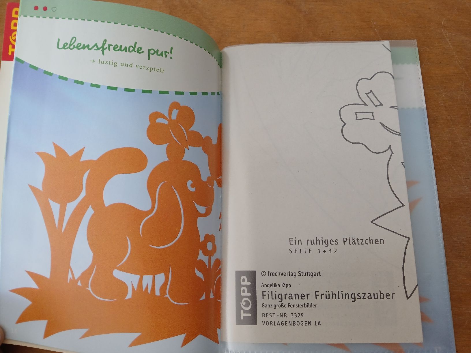Libri: Bastelbuch – Usato da Ennetmoos venduto da kch_2tpv 1