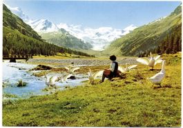 PONTRESINA b. Restaurant Roseggletscher, Frau mit Gänsen