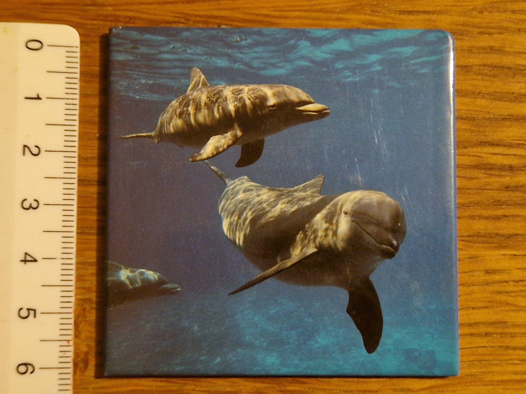 Calamite: Magnet pour frigo - dauphins – Nuovo (secondo la descrizione) da Villars-sur-Glâne venduto da Agnie80 2
