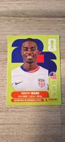 Panini FIFA WM 2026 USA 12