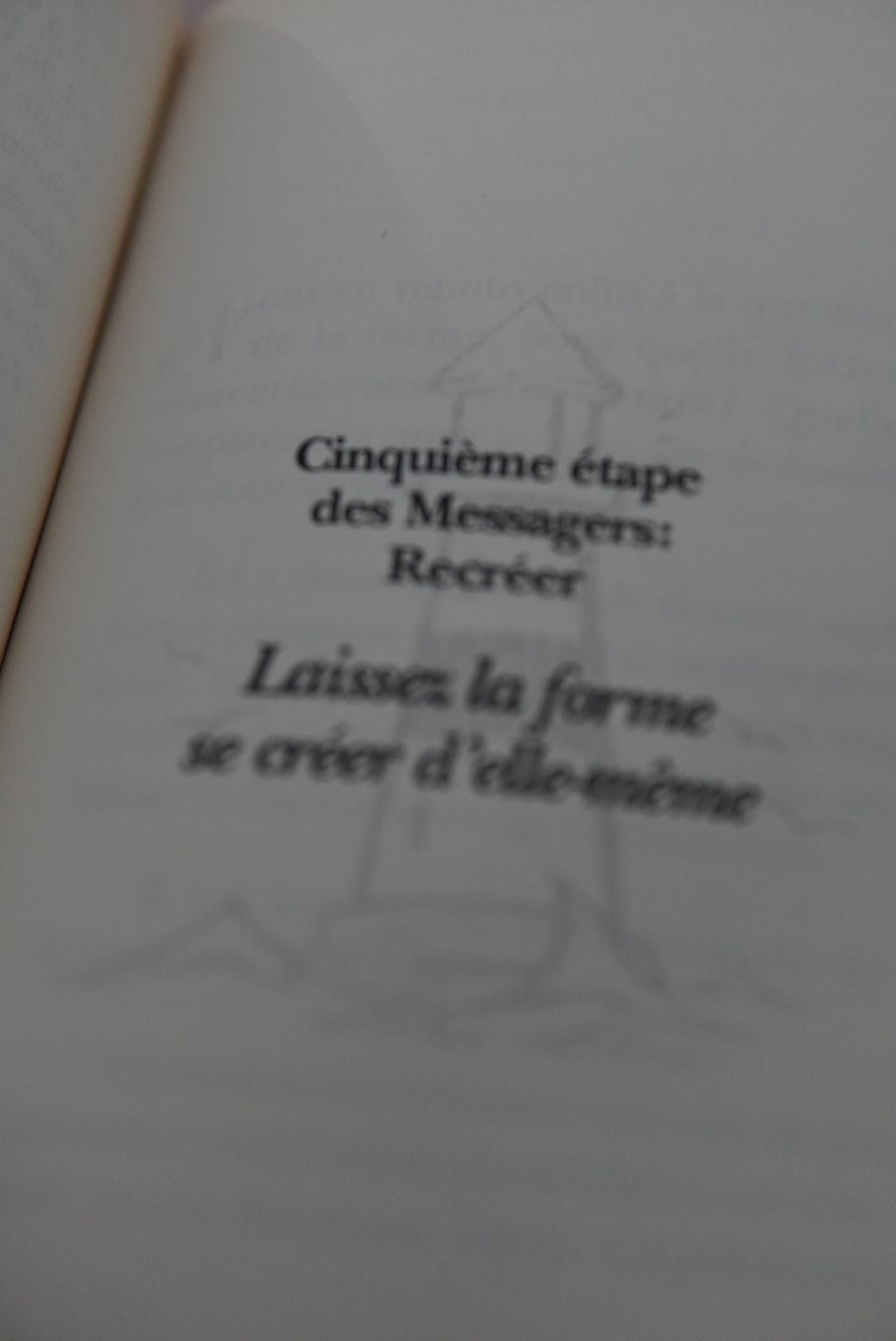 Livres: Messagers de lumière – Neale Donald Walsch – D'occasion à Onex par Magou_31 1