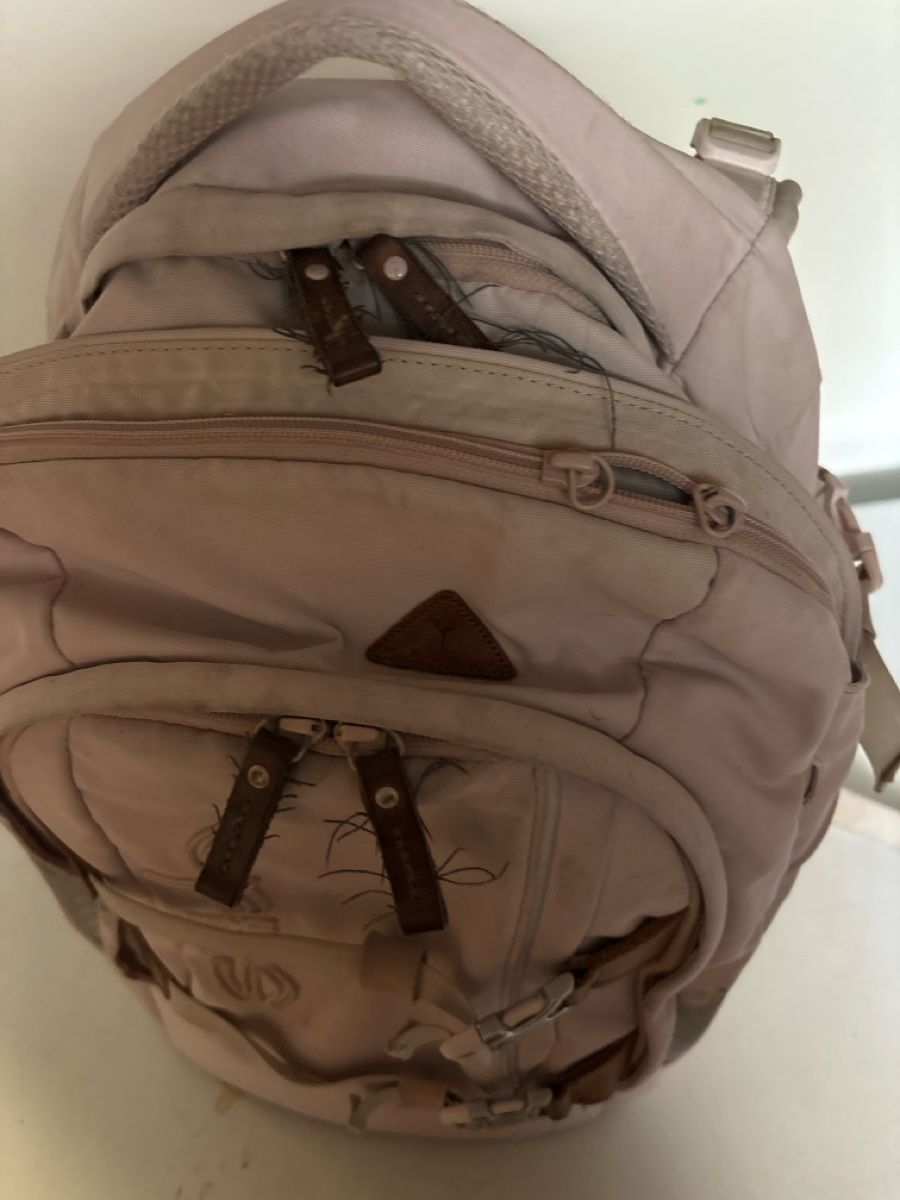 Satch Borse & Zaini: Satch Rucksack rosa guter Zustand – Usato da Aarburg venduto da lah_f2sw 2