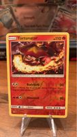 Pokémon Karte: Tortunator 🔥😎