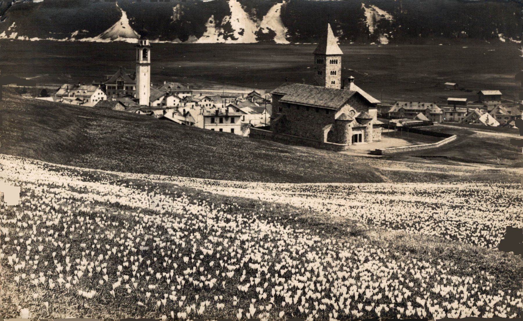 Cartoline postali: Samedan – Usato da Bronschhofen venduto da Astore