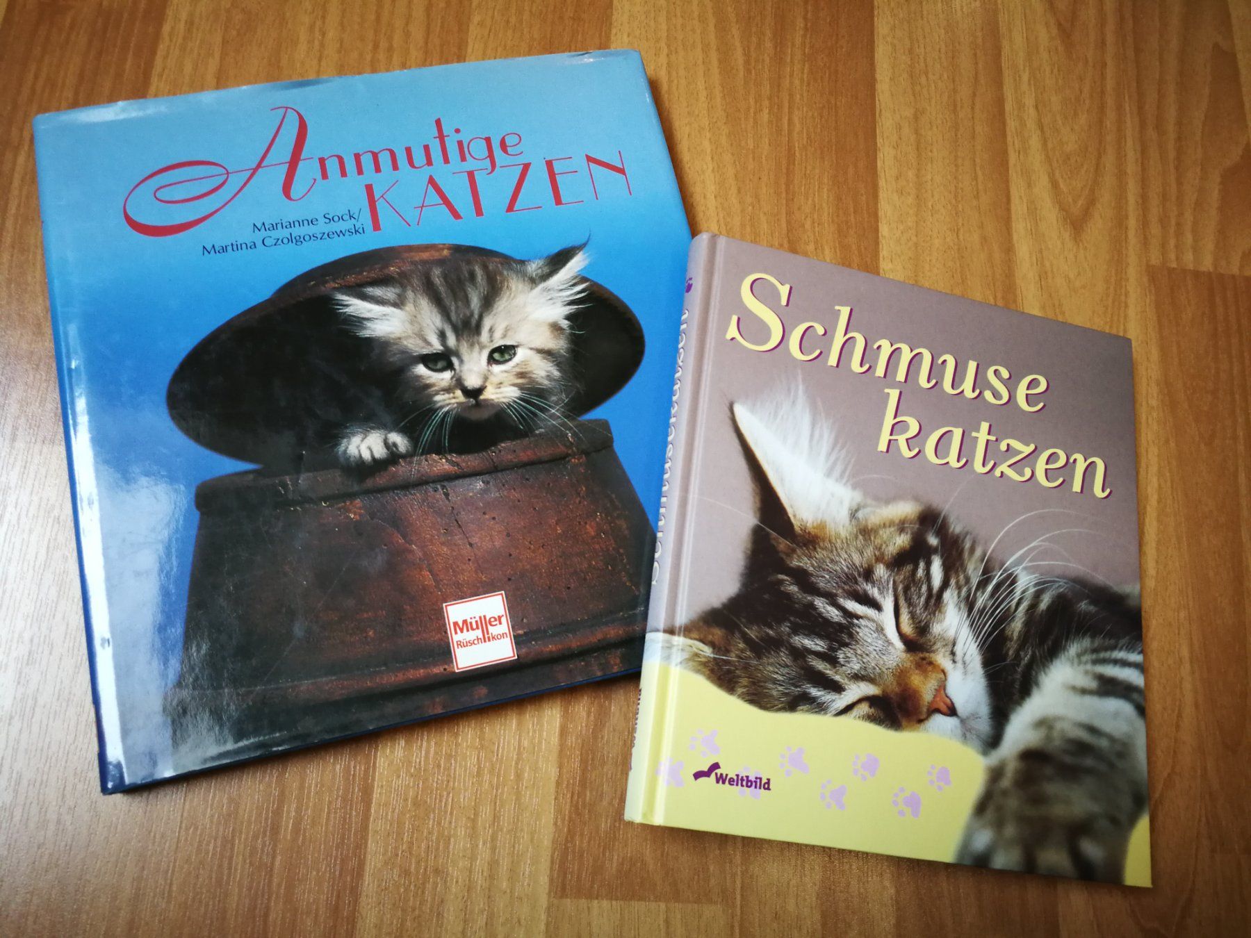 Libri: 2-Teiliges Bücherset mit wunderschönen Katzenbildbänden – Usato da Birrhard venduto da Pry