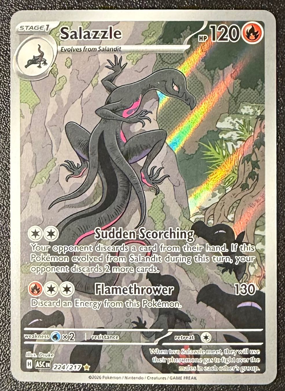 Pokémon Carte collezionabili: Salazzle #224 – Nuovo (secondo la descrizione) da Niedergösgen venduto da SwissPokeCards