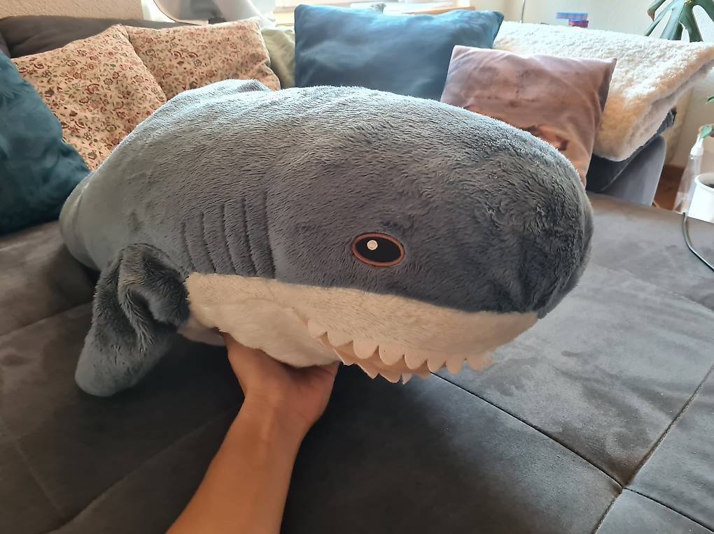 Jouets: Kuschelhai – D'occasion à Ramlinsburg par DanaBar 2
