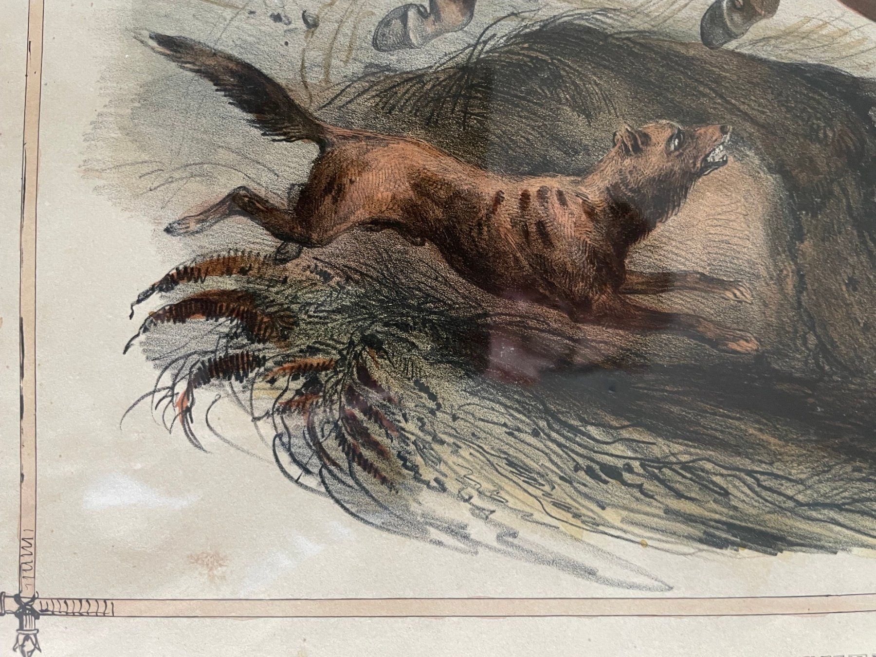 Incisioni: Cheval effrayé - Druckgrafik, Stich, Lithografie – Usato da Bern venduto da curtius01 3