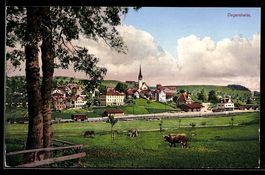AK Degersheim, Totalansicht mit Kirche und weidenden Kühen