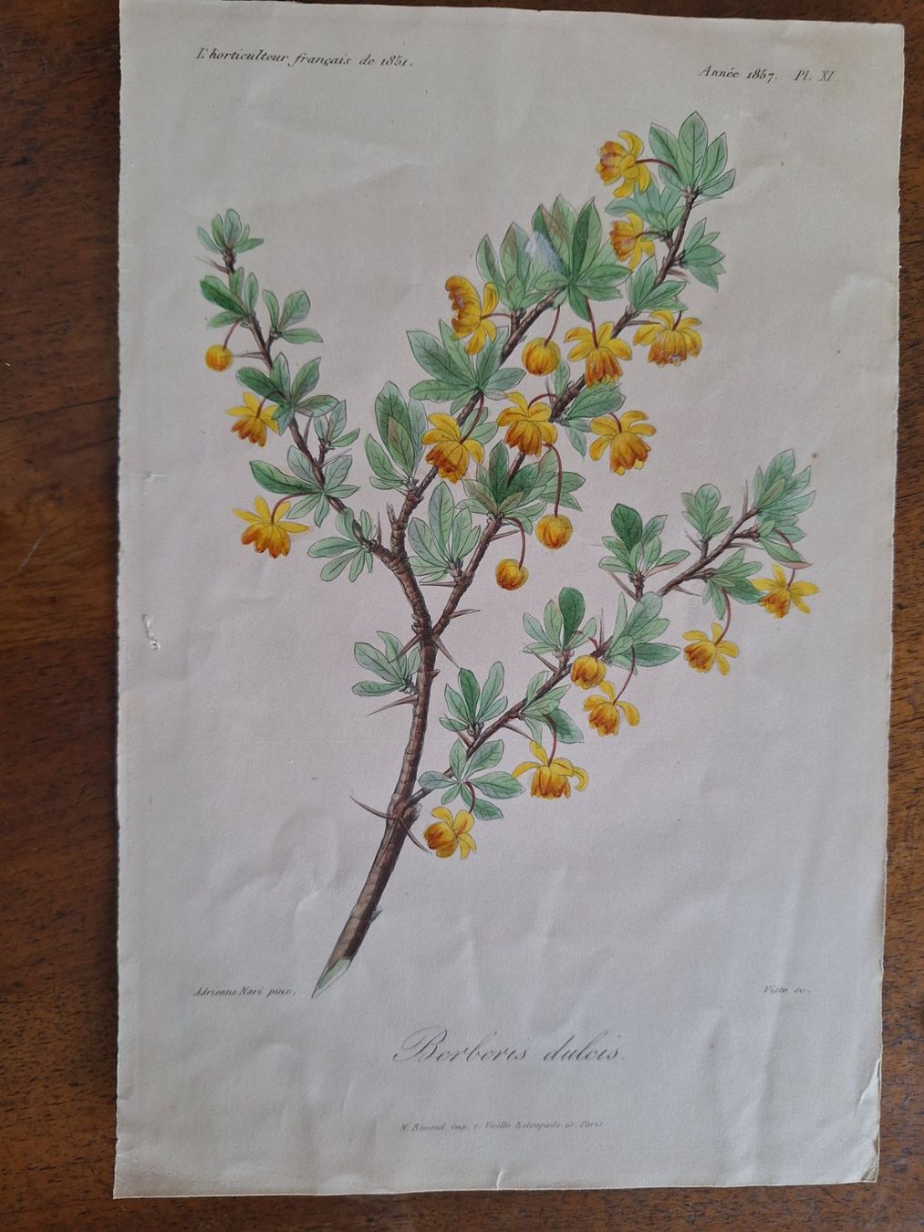 Stiche: FLEURS  6 GRAVURES – Gebraucht aus Bevaix von bohrap 6