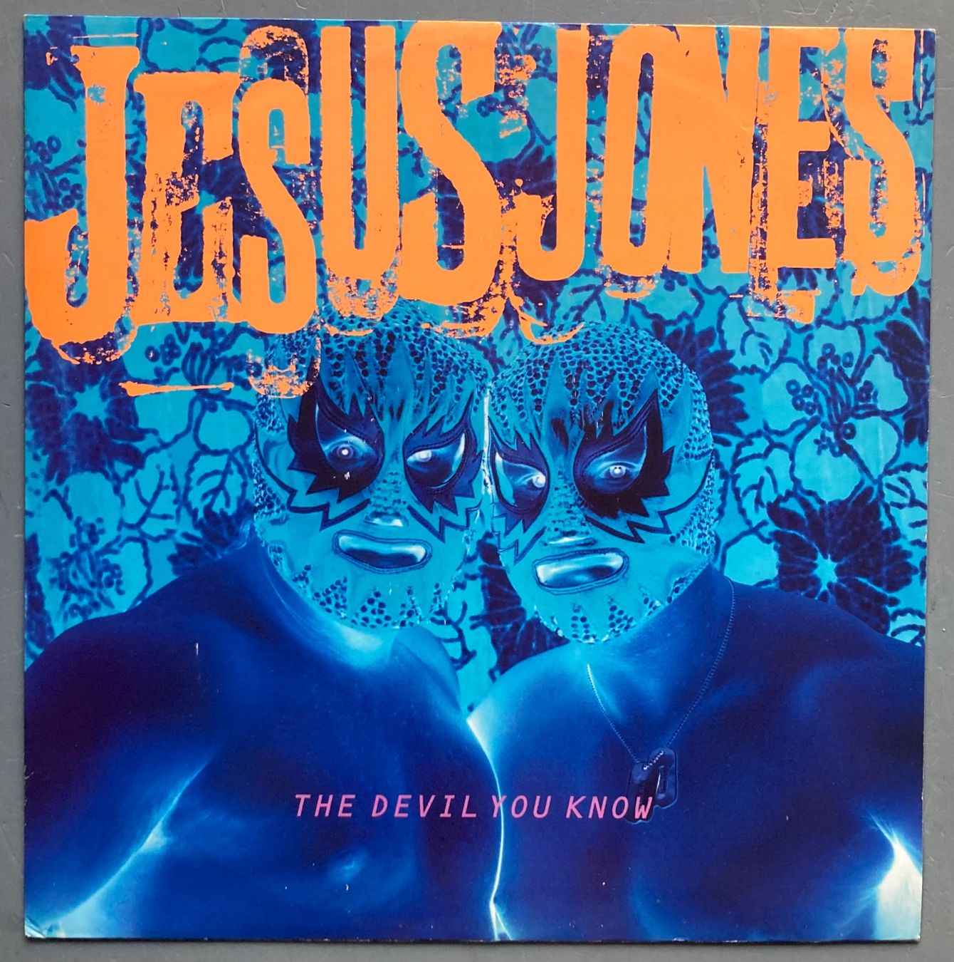Dischi in vinile: JESUS JONES - THE DEVIL YOU KNOW – Usato da Poliez-Pittet venduto da Newtown-Records