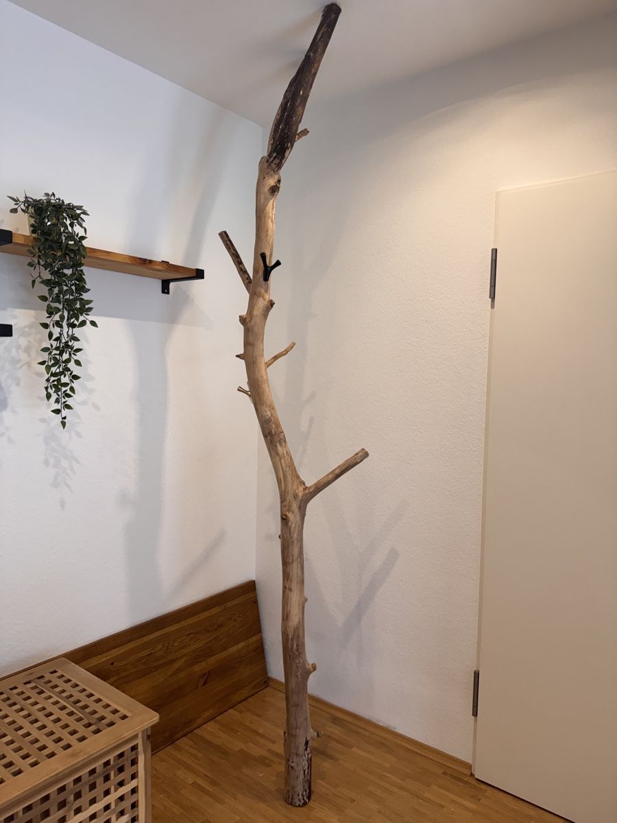 Porte manteau: Garderobe/Halterung – D'occasion à Bottighofen par dia_65zc 1