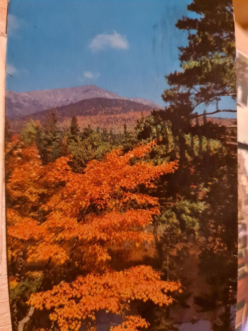 Cartoline postali: Ansichtskarte Maine Baxter Park 1973 – Usato da Dintikon venduto da Vexi