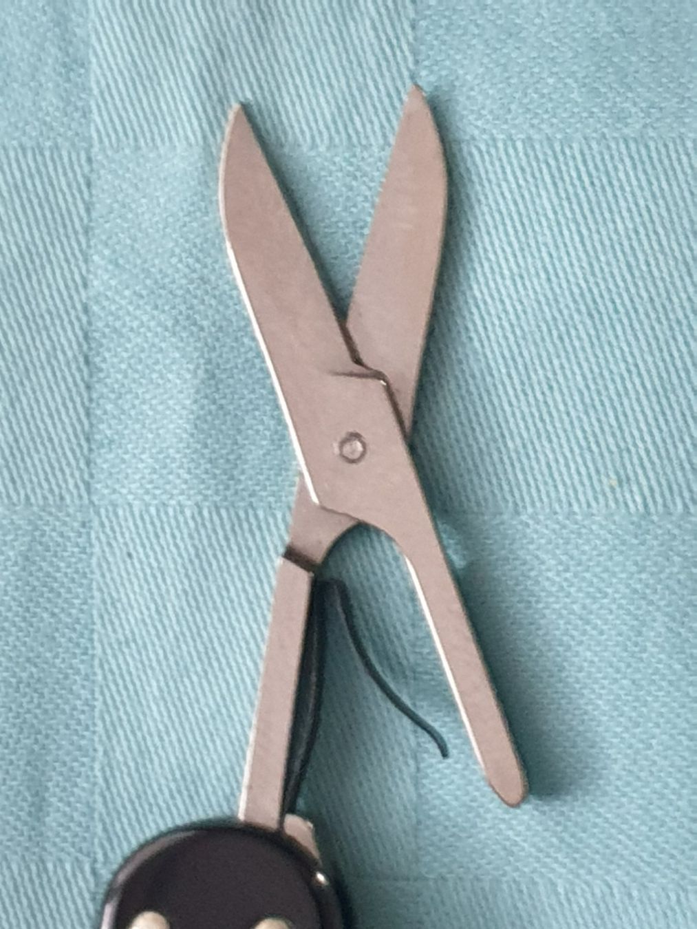 Victorinox Coltelli tascabile: Taschenmesser VICTORINOX SAURER – Usato da Mörschwil venduto da spirspi 7