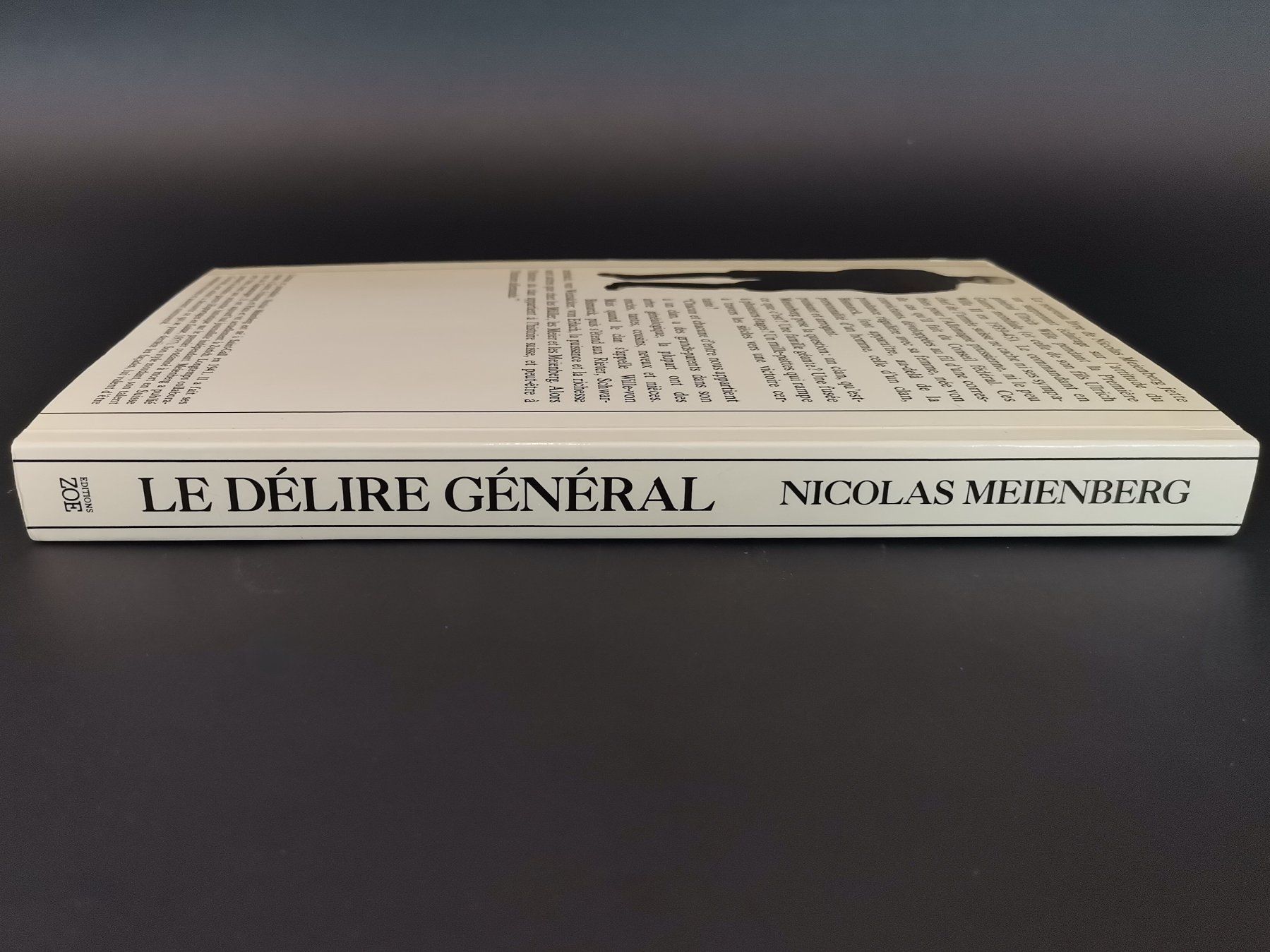 Bücher: BUCH Le dèlire Gènèral – Gebraucht aus Schaffhausen von Restwert_SH 2