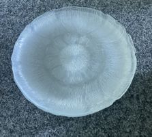 Glas-Teller rund Blumenmuster 28cm neuwertig