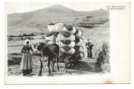 Landwirtschaft - Heutransport im Unterengadin (GR) um 1900
