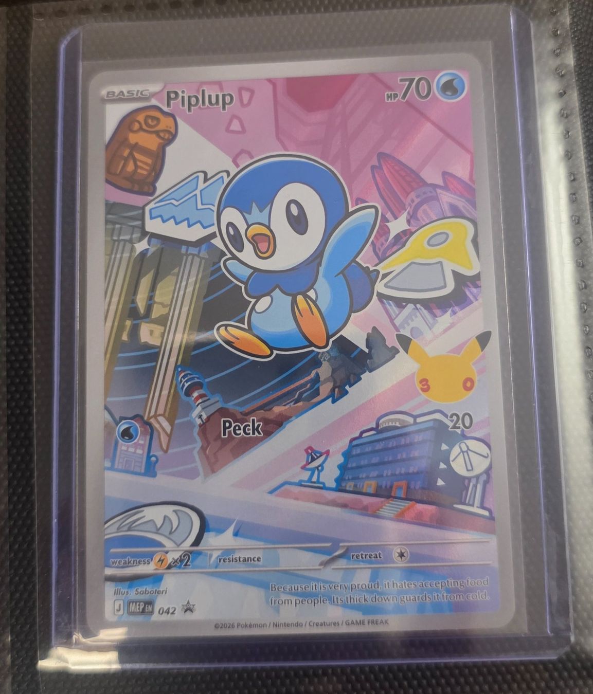 Pokémon Sammelbilder & Trading cards: Pokemon -  First Partner Serie 1 / EN – Neu (gemäss Beschreibung) aus Kreuzlingen von Room_Shambles 1