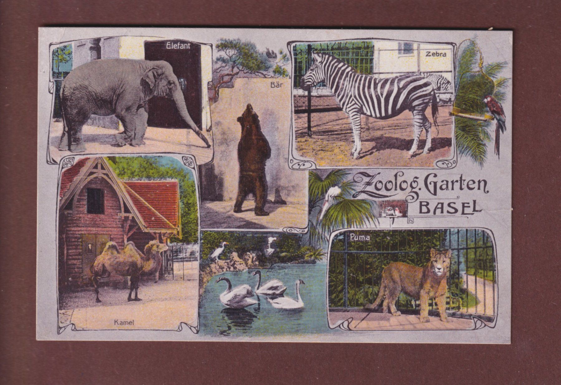 Cartes postales: BASEL - Zoologischer Garten // Eckbug // – D'occasion à Pully par nicecards