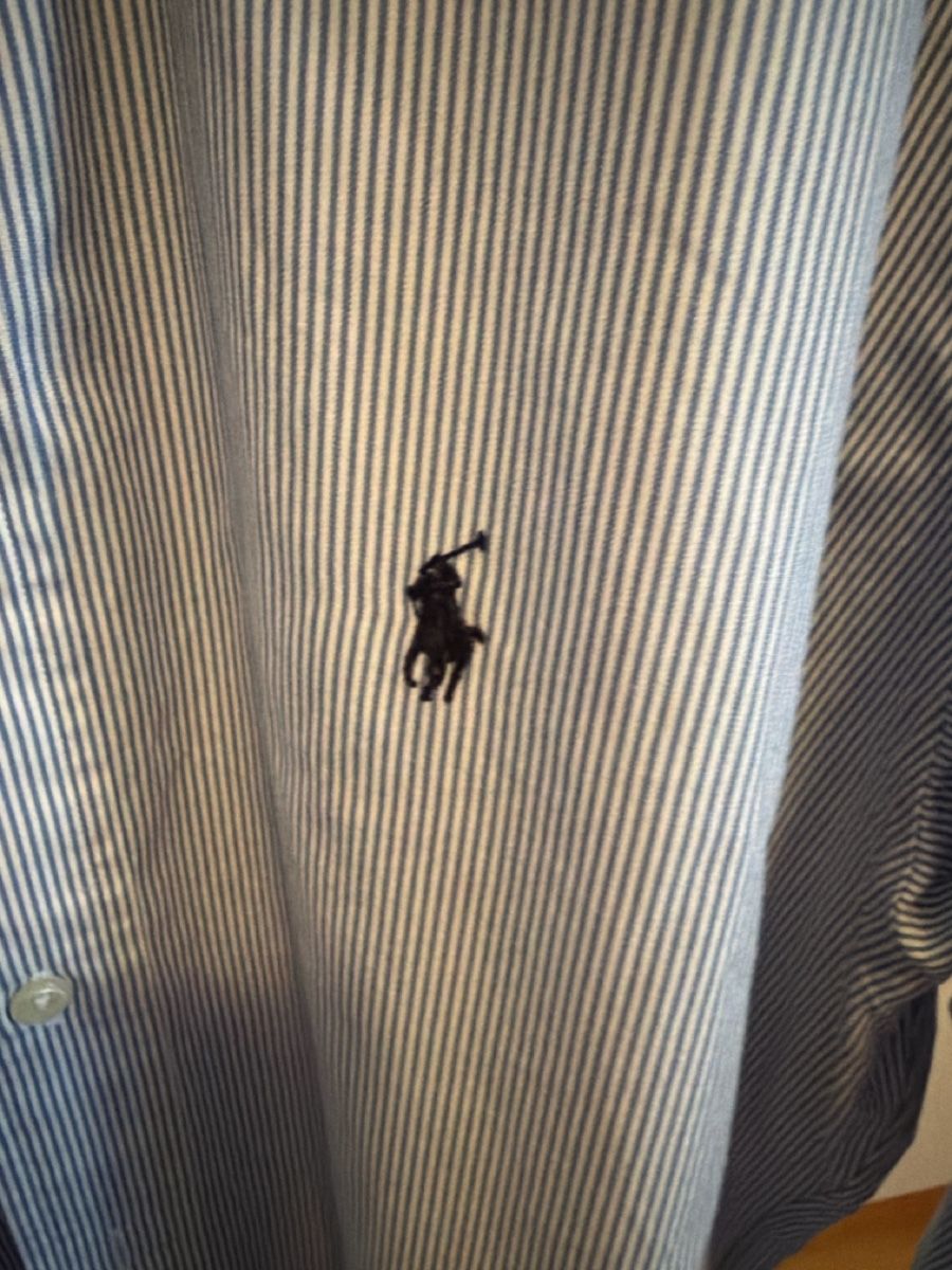 Ralph Lauren Camicie: Ralph Lauren camicia  – Usato da Sementina venduto da bru_vpp5 3