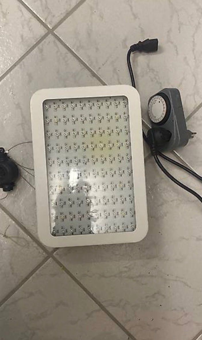 Lampade: Pflanzenlampe LED – Usato da Niedergösgen venduto da emi_v7qx 1