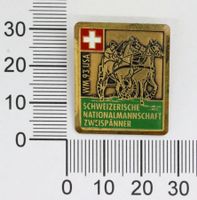 CH Nationalmannschaft Zweispänner Weltmeisterschaft USA Pin