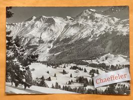 Valbella-Lenzerheide, Schwarzhorn