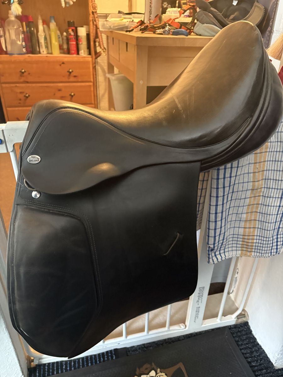 Selle & Accessori: Vielseitigkeitssattel, Leder – Usato da Niederglatt ZH venduto da Rubina2 1