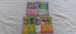 lot de cartes pokémon (POR)
