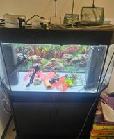 Juwel Aquarium Gr;100x40cm vollkommen zubehör in  Winterthur