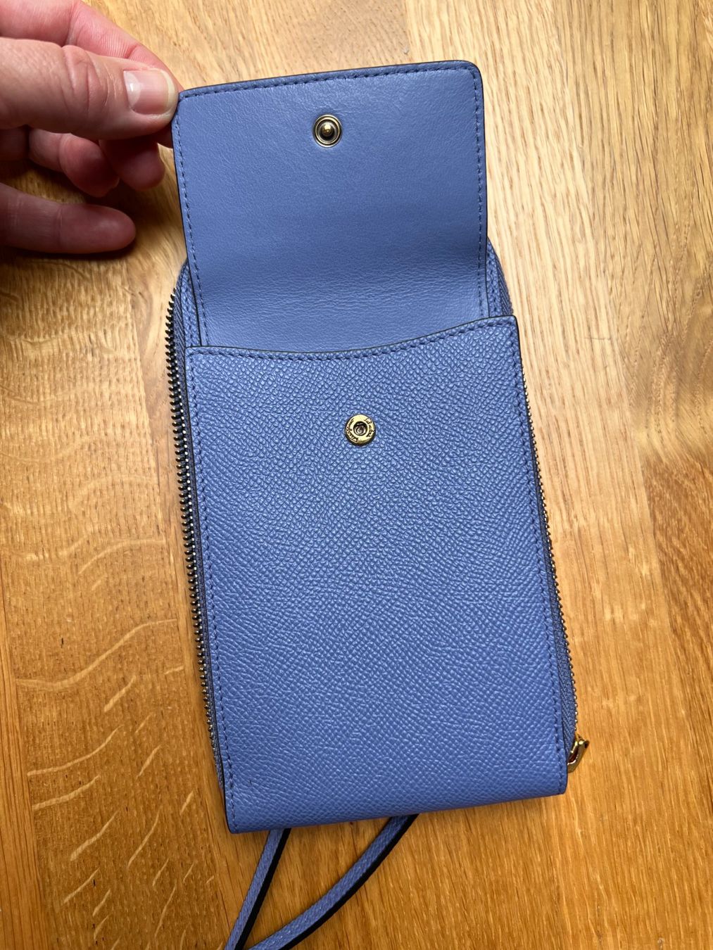 Salvatore Ferragamo Borse da donna: Edle Salvatore Ferragamo Handy Tasche Top Zustand – Usato da Zumikon venduto da jensbehlau81 3