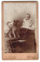 Fotografie A. Münzberg, Einbeck, Neuer 